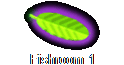 Fishroom 1