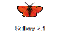 Gallery 2.1