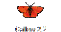 Gallery 2.2