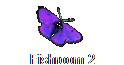 Fishroom 2