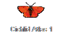 Cichlid Atlas 1