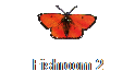 Fishroom 2
